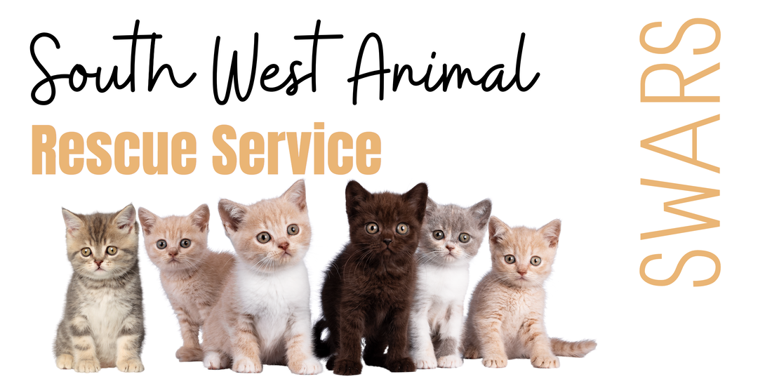 Cat Adoption Team Services - Home